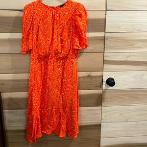 Ann Taylor Spring Dress